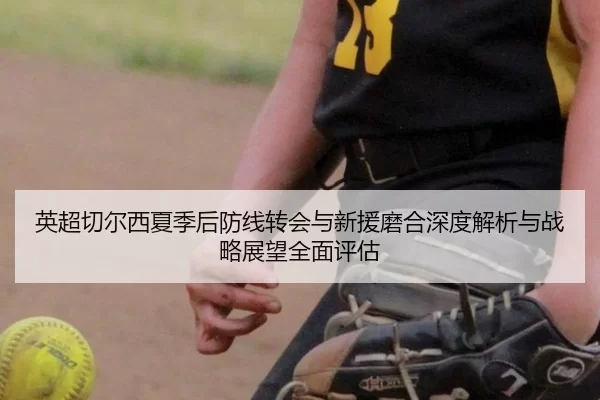 英超切尔西夏季后防线转会与新援磨合深度解析与战略展望全面评估